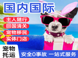 黑河空运地址国际宠物托运 【国